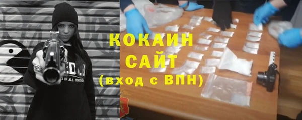 стаф Абинск