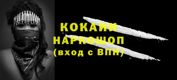 ешки Алексин