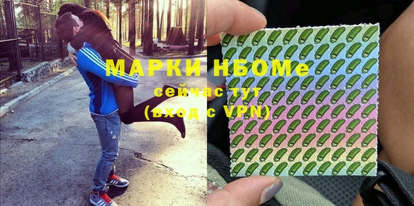 ешки Алексин