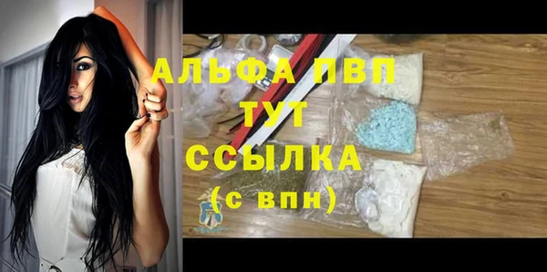 стаф Абинск
